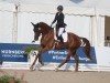 dressage horse Rubin Kiss (German Sport Horse, 2020, from Rubin Royal OLD)