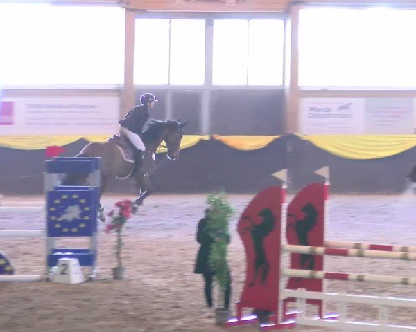 Reitturnier Sauldorf 2025