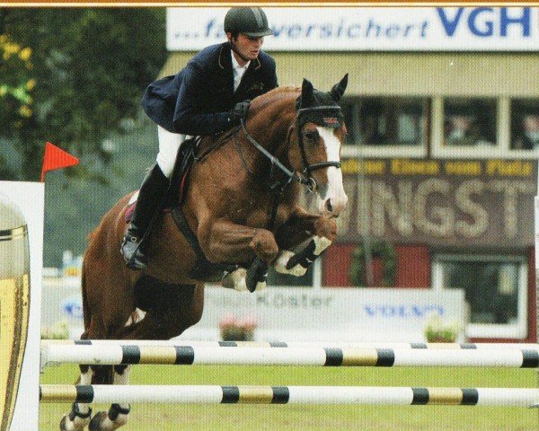 stallion Champion F.P (unknown,  , from Champion du Lys)