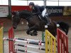 jumper Lantinus (German Sport Horse, 2013, from Pikeur Lord Fauntleroy)