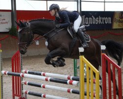 jumper Lantinus (German Sport Horse, 2013, from Pikeur Lord Fauntleroy)