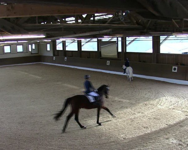Reitturnier Poggersdorf 2025