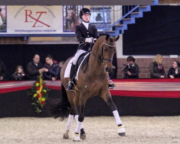 stallion Fürst Larino (Oldenburg, 2010, from Fürst Romancier)