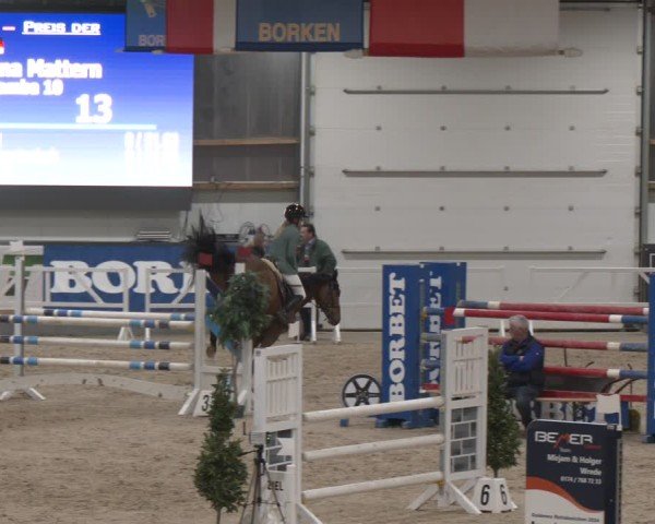 Reitturnier Borken (Hessen) 2025