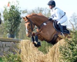 Springpferd Viamant du Matz (Selle Français, 2009, von Diamant de Semilly)