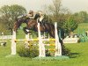 stallion Rock King (British Sport Horse, 1990, from Just a Monarch xx)