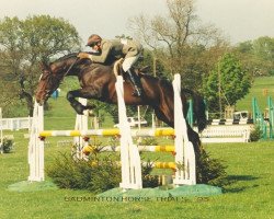 stallion Rock King (British Sport Horse, 1990, from Just a Monarch xx)