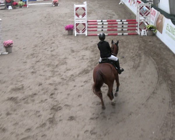 Reitturnier Timmendorf 2025