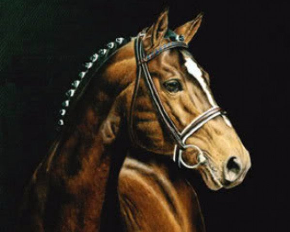 stallion Feiner Stern (Hanoverian, 1983, from Freiherr)