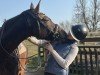 jumper D.Chantal Z (Zangersheide riding horse, 2017, from Donald Z)