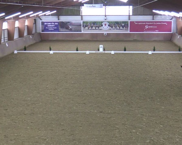 Reitturnier Bad Salzuflen 2025