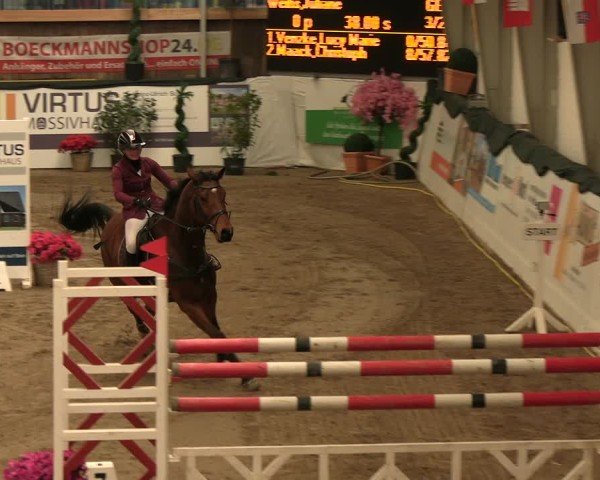 Reitturnier Timmendorf 2025