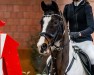 Springpferd Sem 14 (KWPN (Niederländisches Warmblut), 2011)