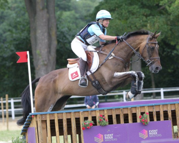 jumper Grovine de Reve (Irish Sport Horse, 2008, from Hermes de Reve)