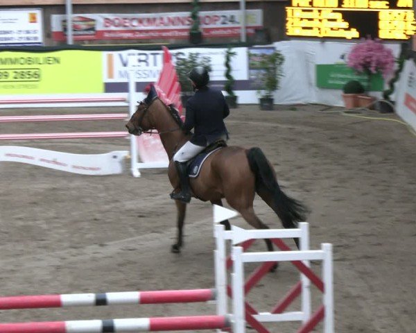 Reitturnier Timmendorf 2025