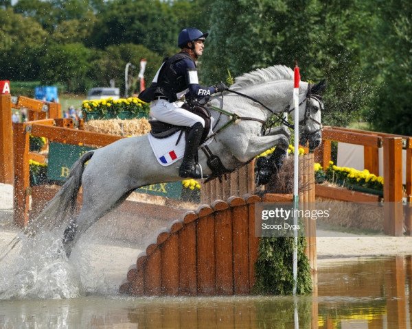 jumper Totem de Brecey (Selle Français, 2007, from Mylord Carthago)