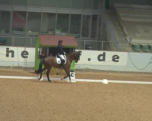 Reitturnier Kreuth 2025
