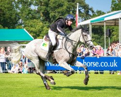 horse Ballaghmor Class (Irish Sport Horse, 2007, from Courage II)