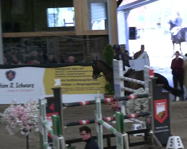 Reitturnier Timmendorf 2025