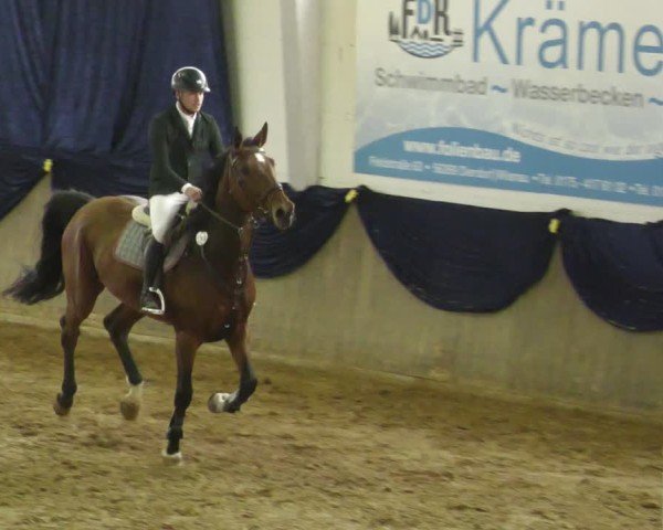Reitturnier Diez 2025
