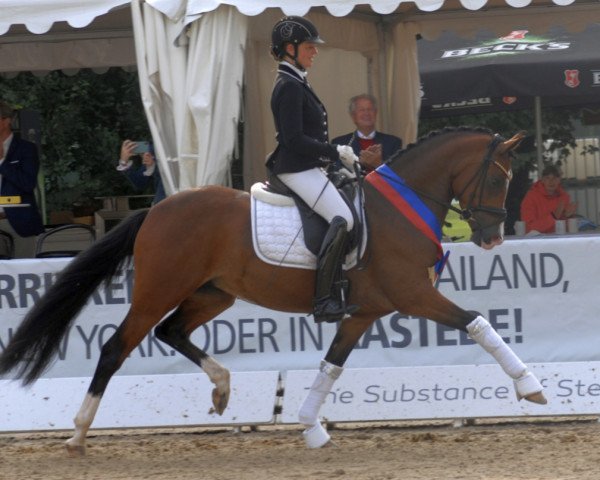 broodmare Sophie's Chanel WE (German Riding Pony, 2018, from Fs Numero Uno)