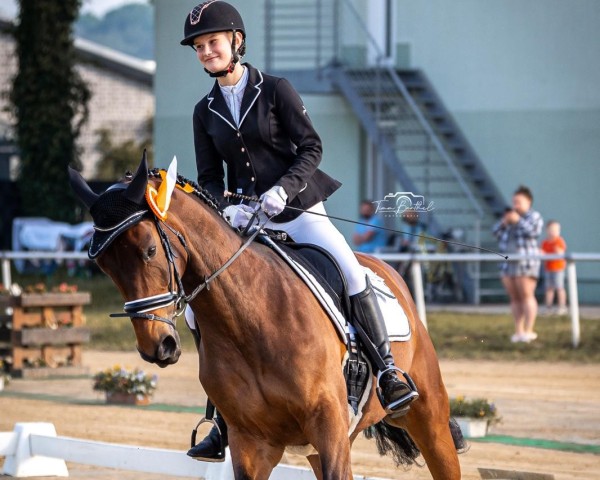 dressage horse Fancy Faraa (Westphalian, 2011, from Florestan I)