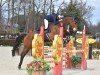 jumper Cormino (Holsteiner, 2018, from Cornetino 231 FIN)