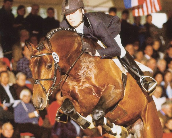 stallion Controller (Oldenburg, 1999, from Contender)
