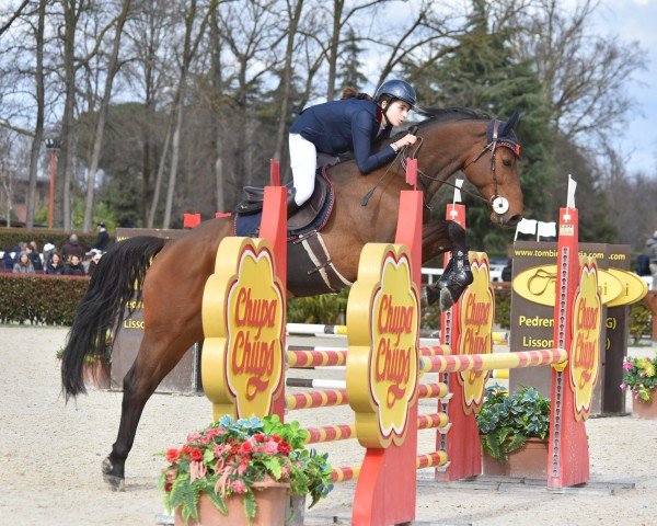 jumper Cormino (Holsteiner, 2018, from Cornetino 231 FIN)