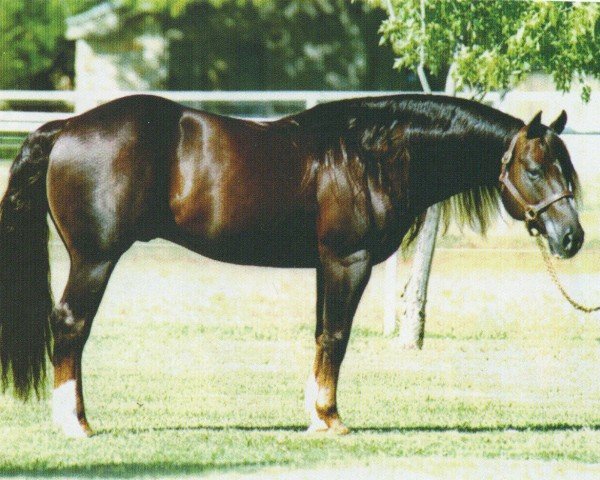 stallion Footworks Finest (Quarter Horse, 1992, from Hollywood Dun It)