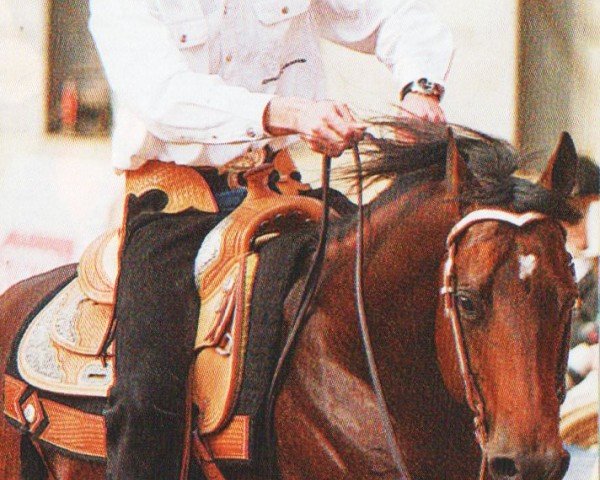 horse Command With Me (Quarter Horse, 2000, from Lean With Me)