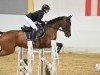 jumper Manolita K (German Sport Horse, 2019, from Million Dollar)