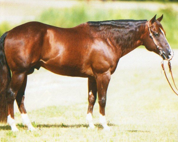 Deckhengst Custom Legend (Quarter Horse, 2001, von Custom Crome)
