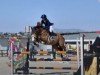 dressage horse Santiago (German Sport Horse, 2019, from Santo Domingo)