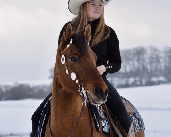 dressage horse Snickers (German Riding Pony, 2013, from Don Dolino)