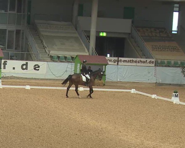 Reitturnier Kreuth 2025