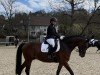 dressage horse Tennessee MW (German Riding Pony, 2020, from Birkhof's Topas Fbw)