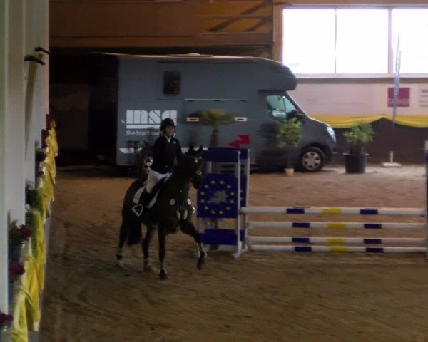 Reitturnier Sauldorf 2025
