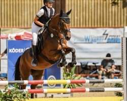 jumper Libertina 24 (German Sport Horse, 2018, from Larius W)