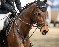 jumper Lucy Lou II (Württemberger, 2012, from Lyjanero)