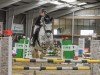 jumper Columbiana (German Sport Horse, 2016, from Cordess 2)