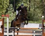 eventing horse Farouche Folie (Westphalian, 2016, from Fleury)