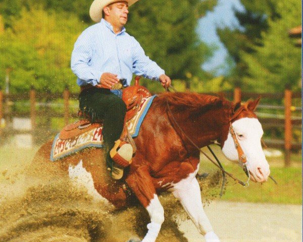 Deckhengst One Gun (Paint Horse, 2001, von Colonels Smoking Gun)
