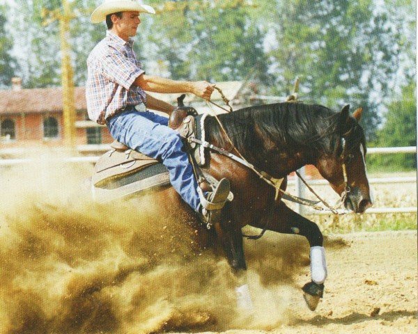 horse Spat A Blue (Quarter Horse, 2002, from Spat Olena)