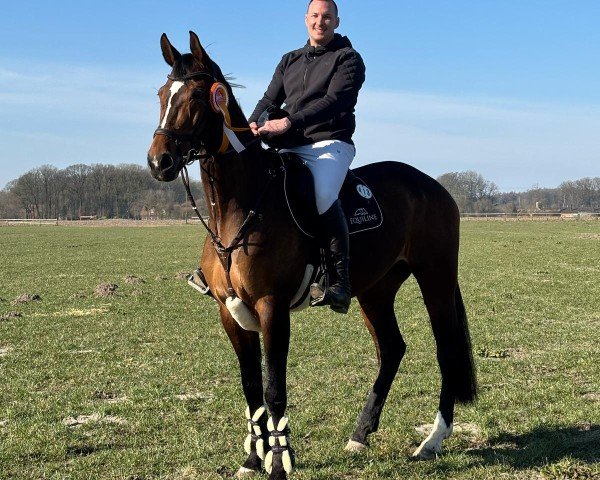broodmare Alice Springs (Westphalian, 2015, from Amantinus Dream)