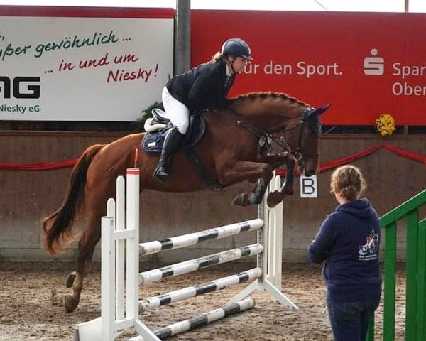 jumper La Duevall (German Sport Horse, 2017, from Lahnstein 4)