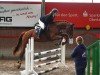 jumper La Duevall (German Sport Horse, 2017, from Lahnstein 4)