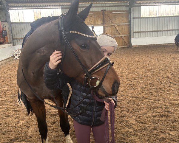 dressage horse For Dreams W (Oldenburg, 2021, from Moreno)