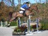 jumper Ela Ela 4 (Zangersheide riding horse, 2019, from Emerald van 't Ruytershof)