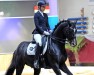 dressage horse Dark Chocolate K 2 (Oldenburg, 2017, from DeLorean)